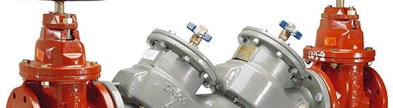 Backflow preventer